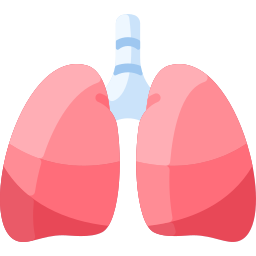 Lungs icon