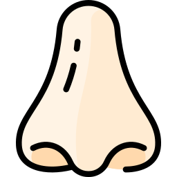 Nose icon