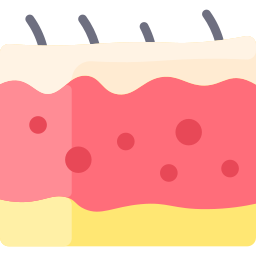 peau Icône