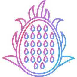 Dragon fruit icon