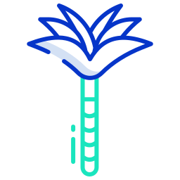 Palm icon