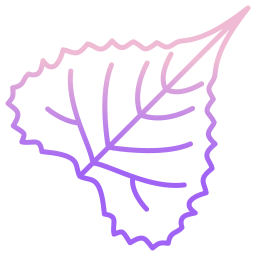 Leaf icon