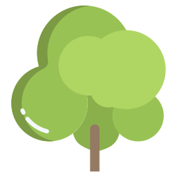 Sycamore icon