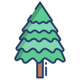 Pine icon