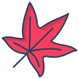 liquidambar icon