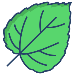 Leaf icon