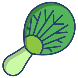 Bok choy icon