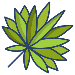 Palm icon