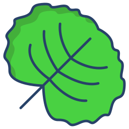 Watercress icon