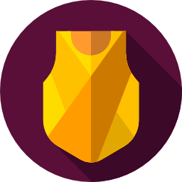 Armor icon