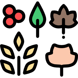 Leaves icon