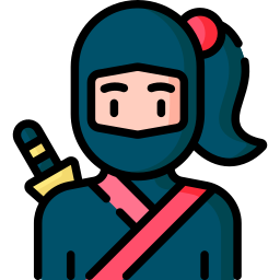 ninja icon