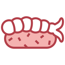 sushi icon