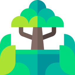 Rainforest icon