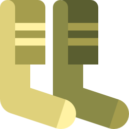 Socks icon