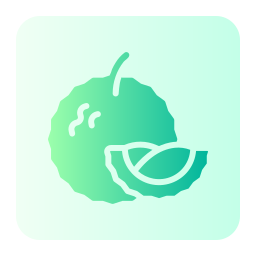 durian icon