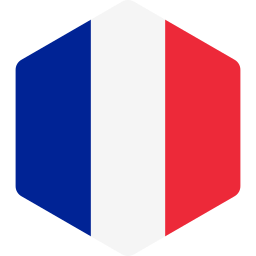 france Icône