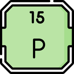 phosphor icon