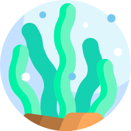 Algae icon