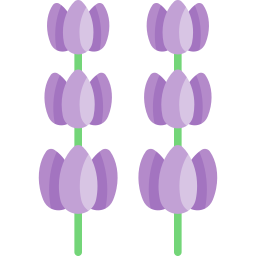 lavanda Ícone