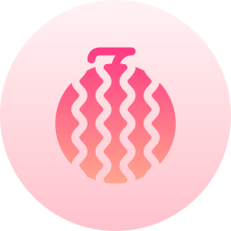 Watermelon icon