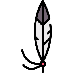 Feather icon