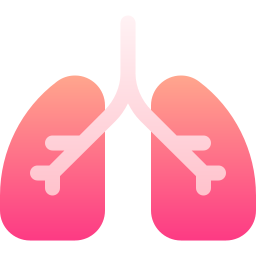 Lungs icon