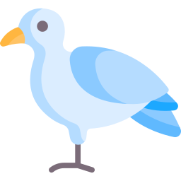 Dove icon