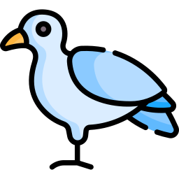 Dove icon