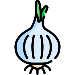 Onion icon