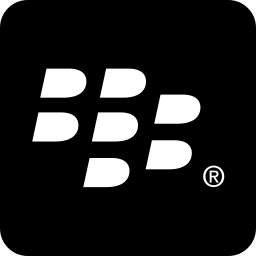 Blackberry icon