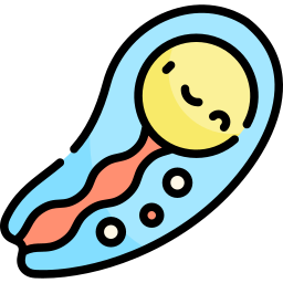 トキソプラズマ icon