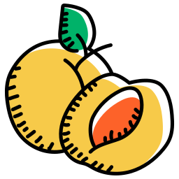 Apricot icon