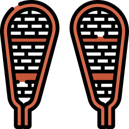 Snowshoes icon