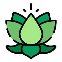 lotus blume icon