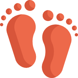 Footprint icon