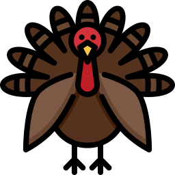 Turkey icon