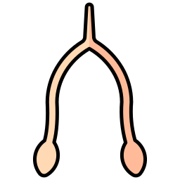 Wishbone icon