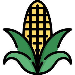 Corn icon