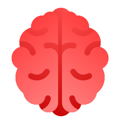 cerveau humain Icône