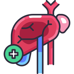 Hepatology icon