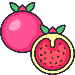 granatapfel icon