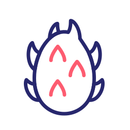 Dragon fruit icon