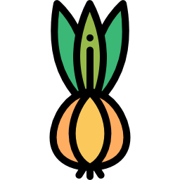 Onion icon