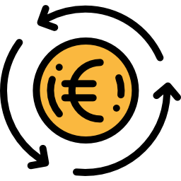 Euro icon