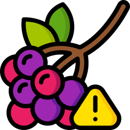 Berries icon