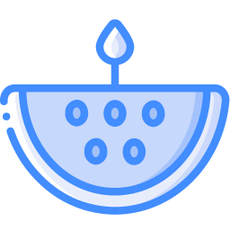 Watermelon icon