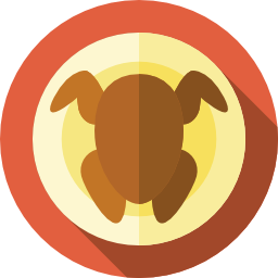 Roast chicken icon