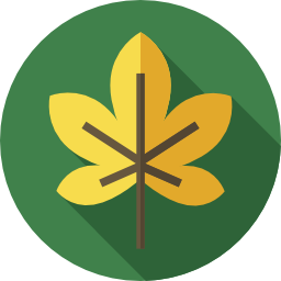 Leaf icon