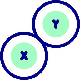 chromosom icon